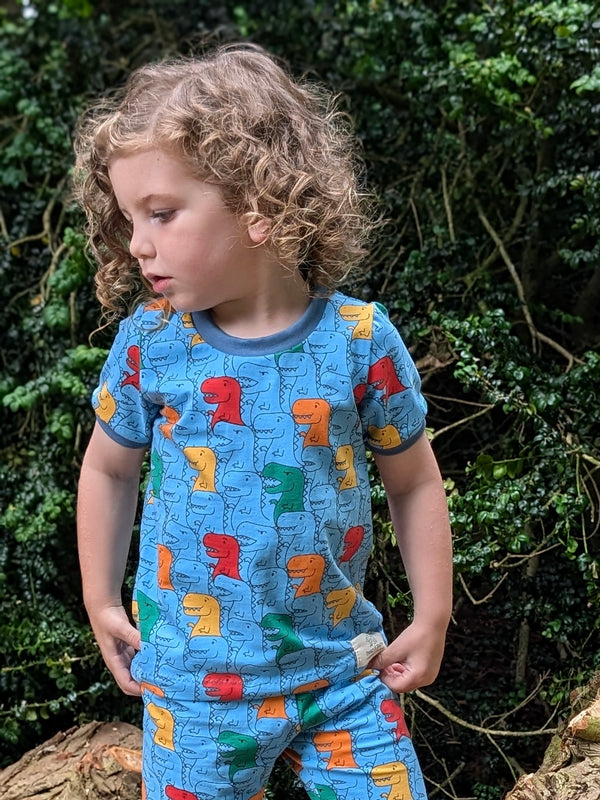Blue T-Rex Baby and Children's T-shirt