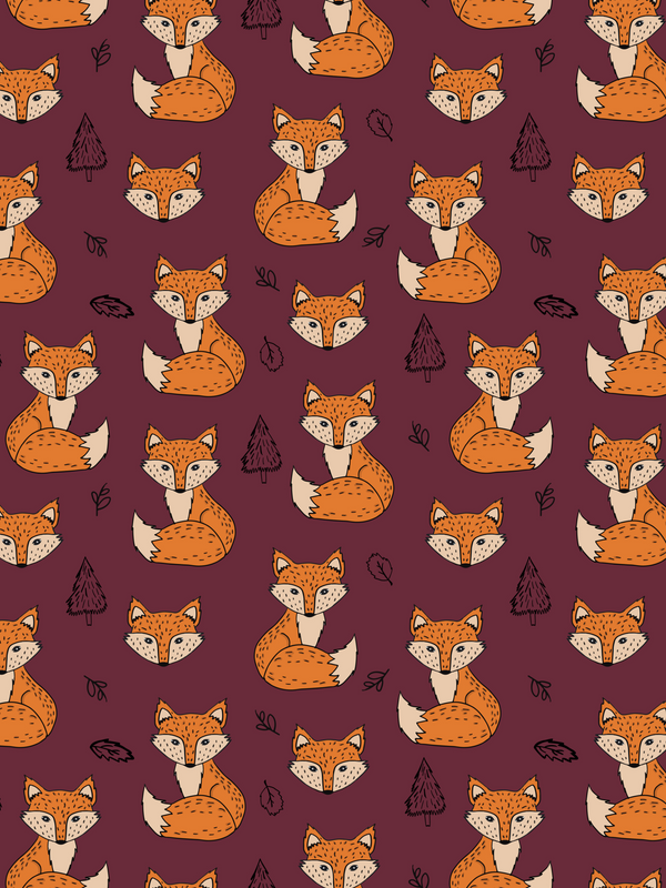 Burgundy Foxes Newborn Baby Set