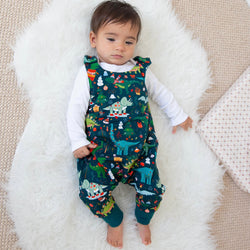 Christmas Dinosaurs Baby and Children's Romper